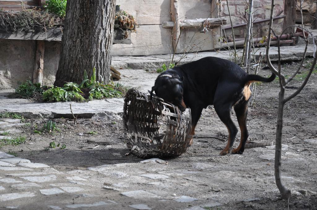 Haci Sakirler Konagi Affittacamere Mudurnu Esterno foto